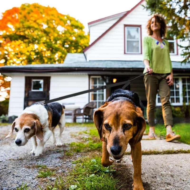 Coleira Dupla para Cães em Nylon Ajustável para Passeio com 2 Cães - Imagem 5