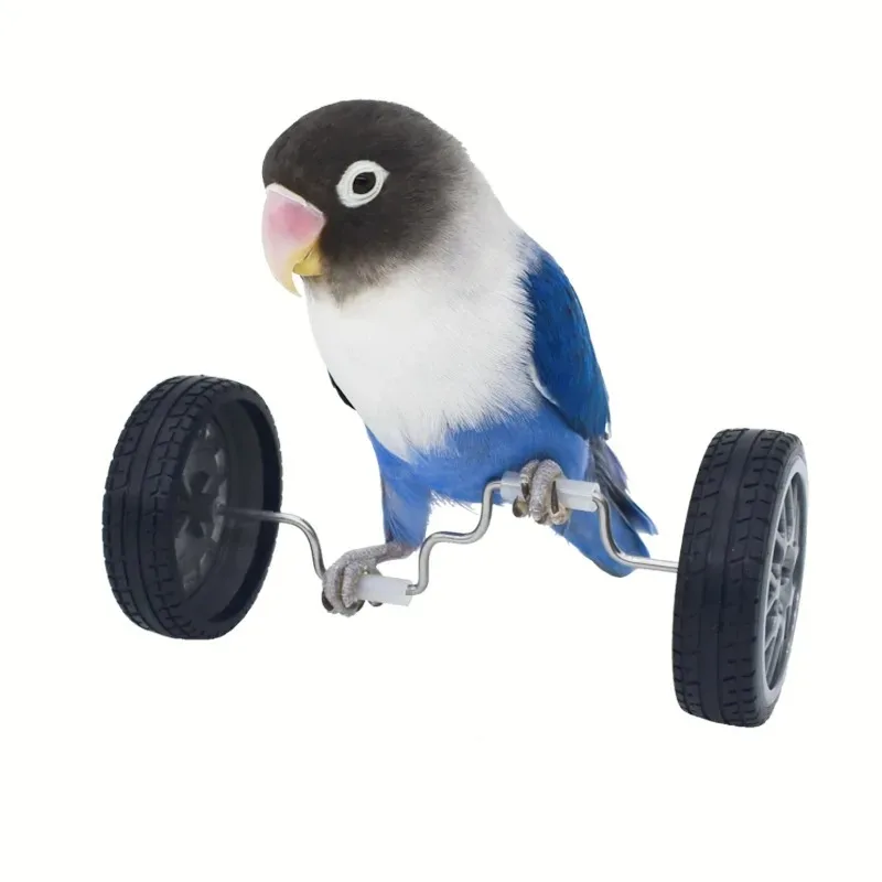 Brinquedo de Equilíbrio para Pássaros Pequenos e Médios - Imagem 4