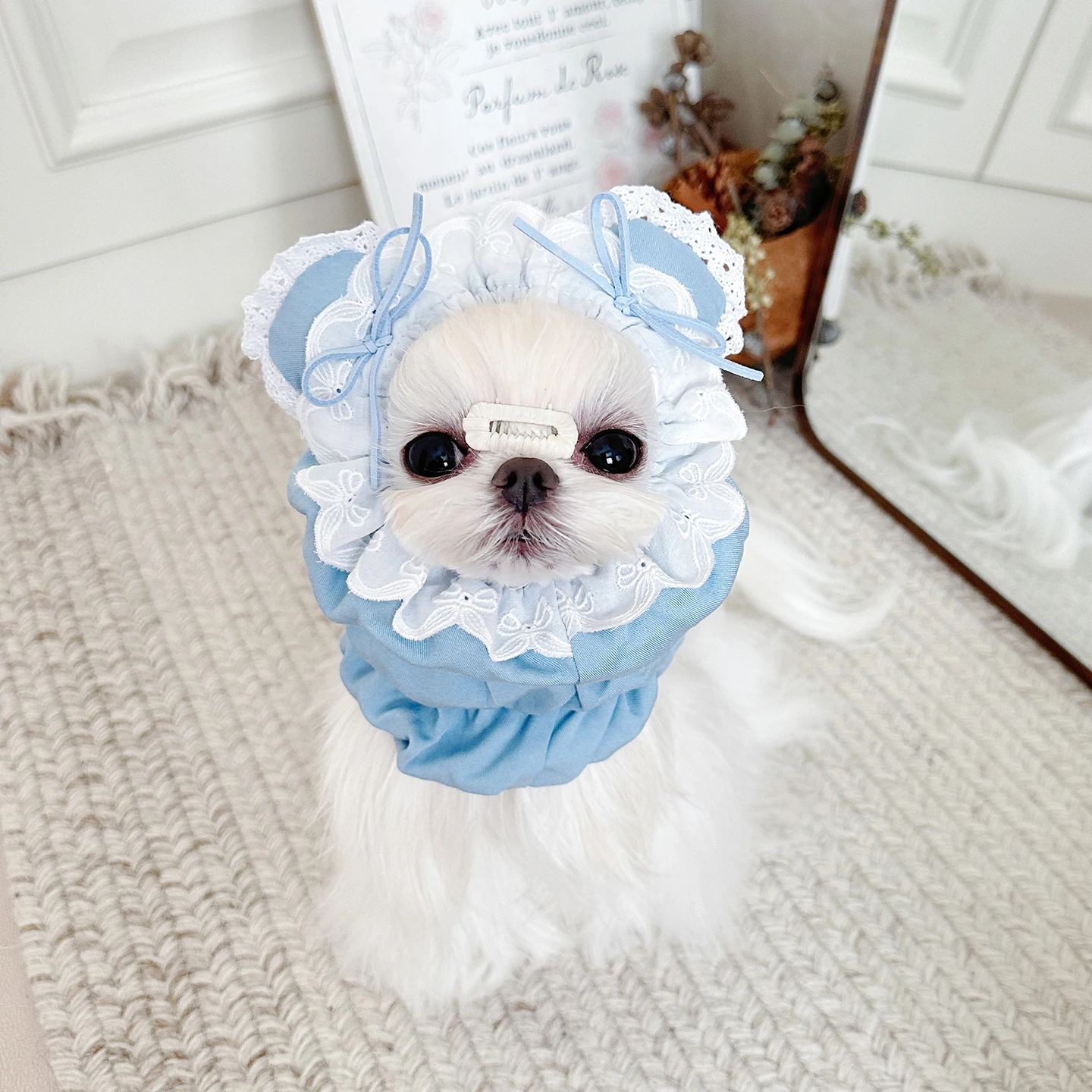 Protetor de Orelha para Cães e Gatos Leve Tamanho P - Imagem 4