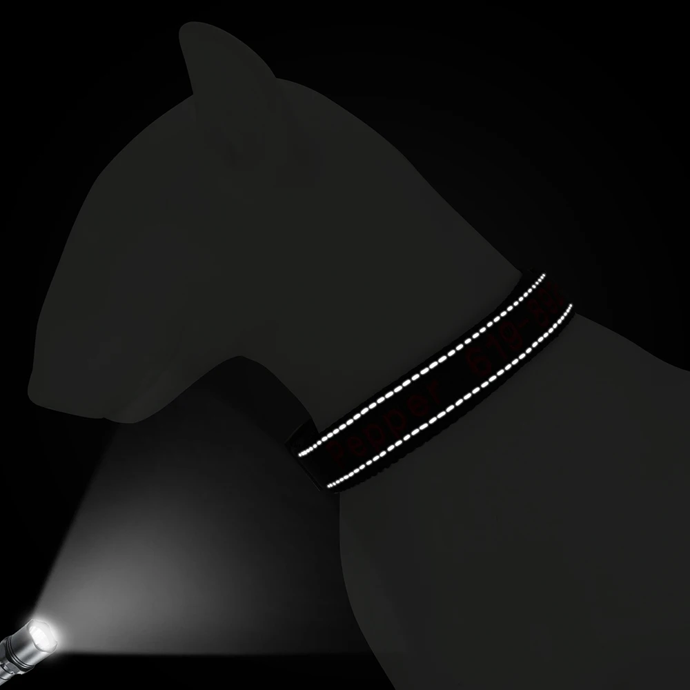 Coleira Refletiva para Cães de Nylon com Nome e Telefone Bordados - Imagem 5
