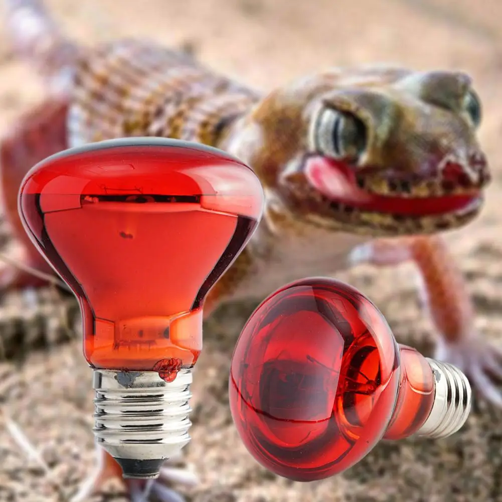 Lâmpada de Aquecimento para Répteis E27 25W-100W Infravermelha - Imagem 2