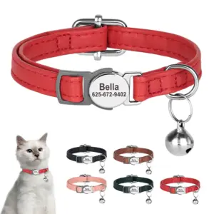 coleira para gatos com identificação gravada