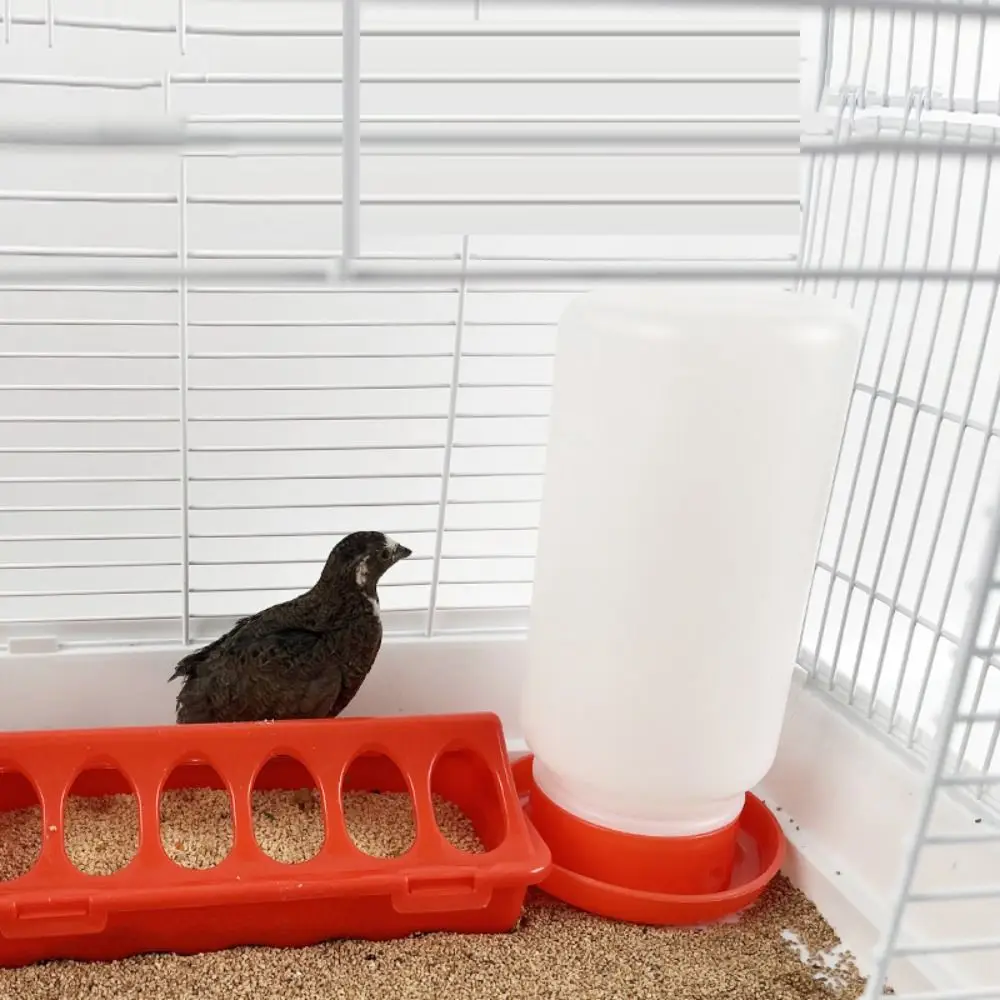 Bebedouro para Aves Plástico Visível Vermelho com Grande Capacidade - Imagem 2