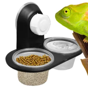bandeja comedouro para répteis