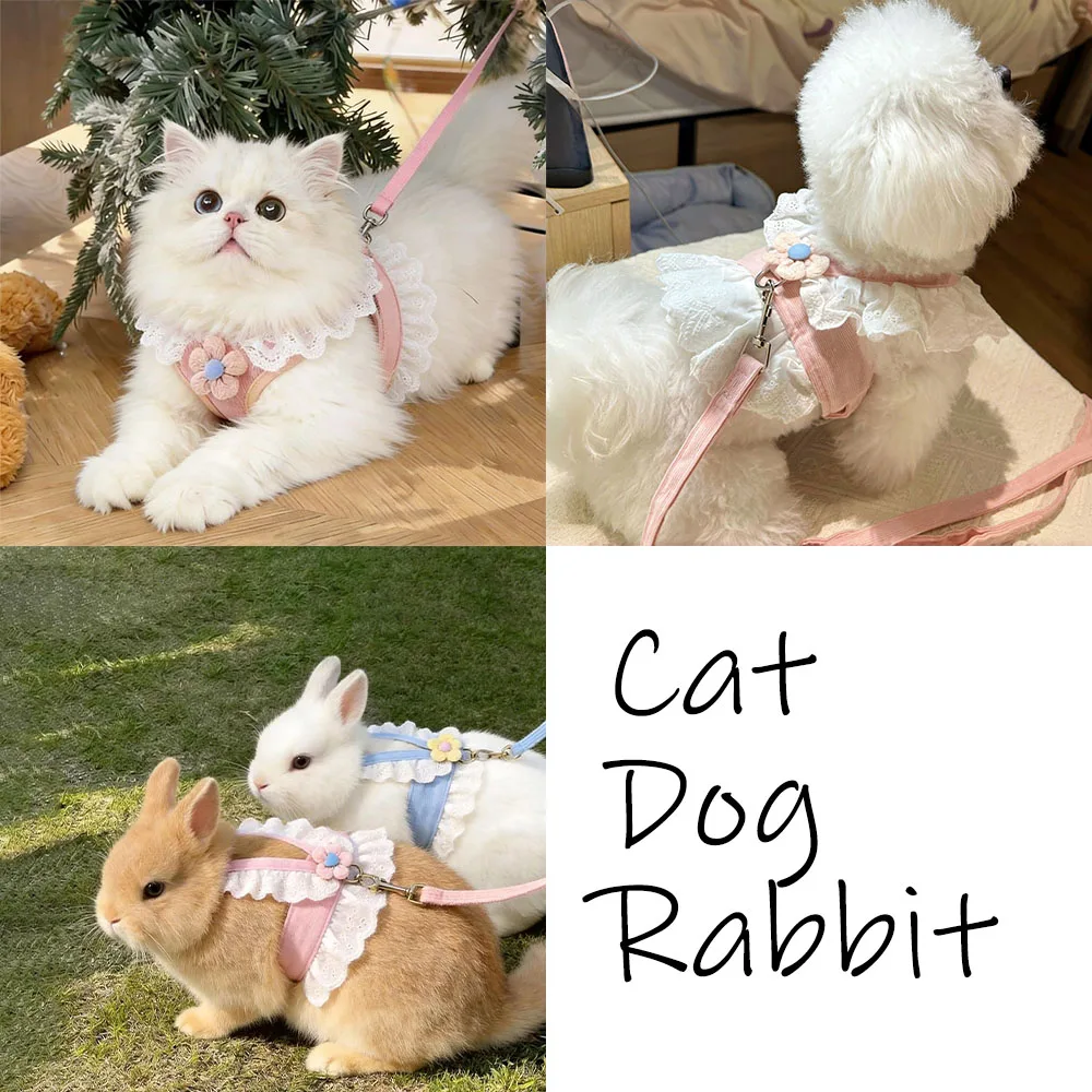 Coleira Peitoral e Guia para Gatos Ajustável para Passeio - Imagem 4