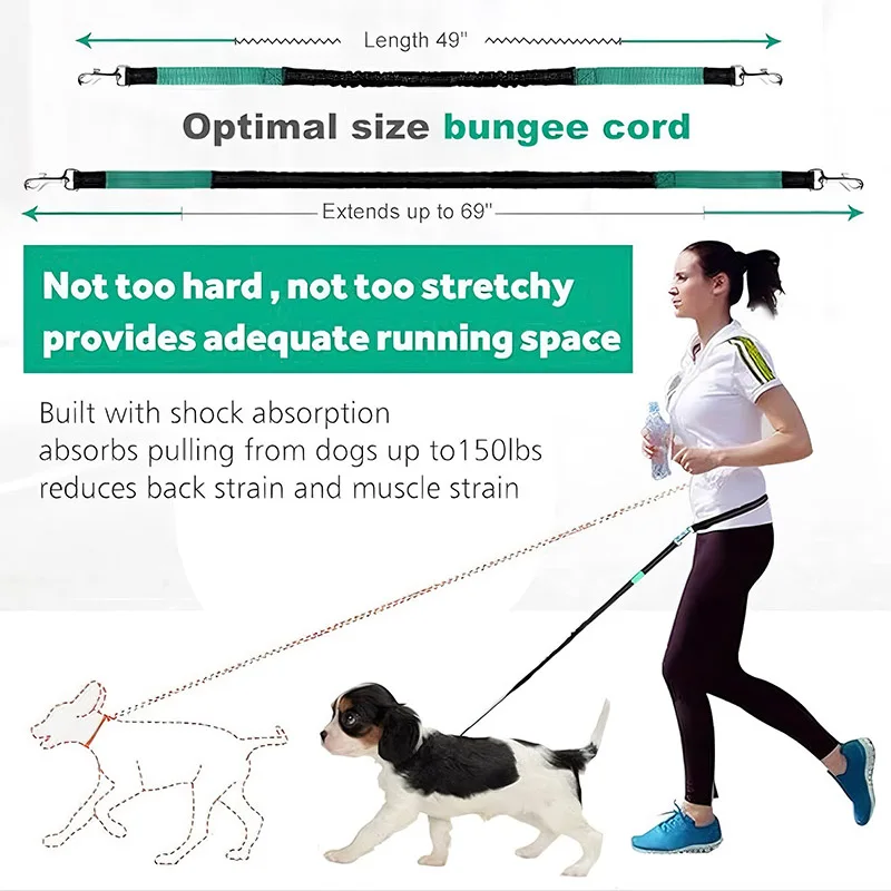 Coleira com Cinto de Cintura Ajustável para Cães Caminhada e Corrida - Imagem 5