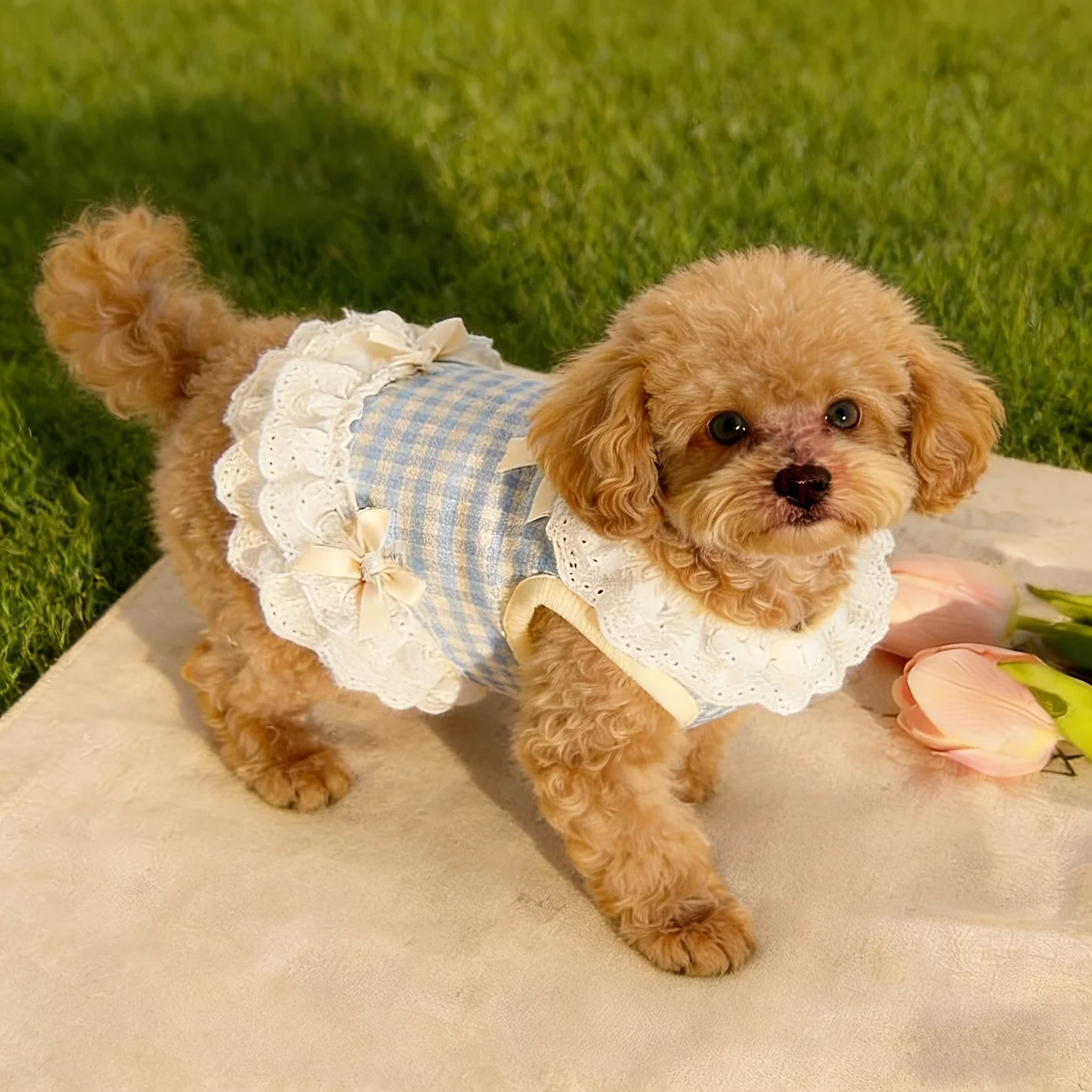 Vestido Xadrez para Cães e Gatos Pequenos com Laço e Babados - Image 5