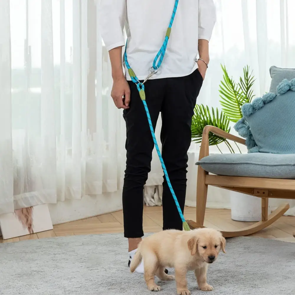 Coleira Dupla para Cães com Corda Elástica e Gancho Duplo - Imagem 2