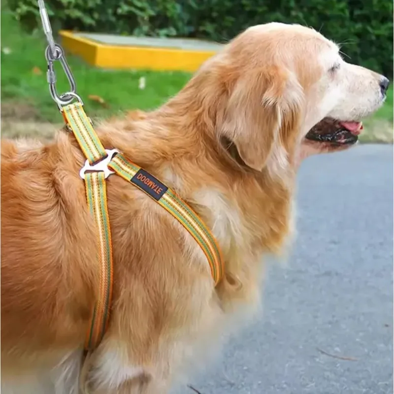 Cabo de Amarração Dupla para Cães de Aço Inoxidável com Mosquetões - Imagem 3