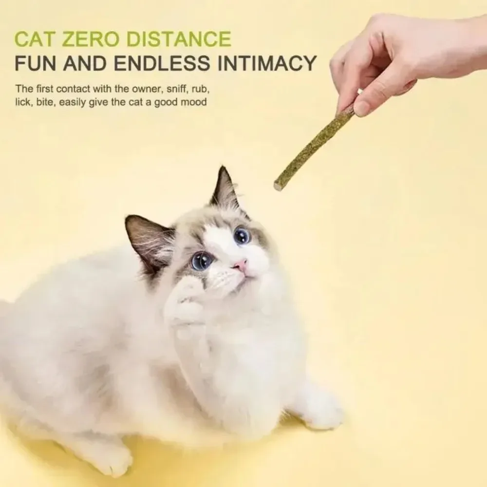 Bastões de Matatabi e Silvervine para Gatos com Menta, 6 Peças - Imagem 3