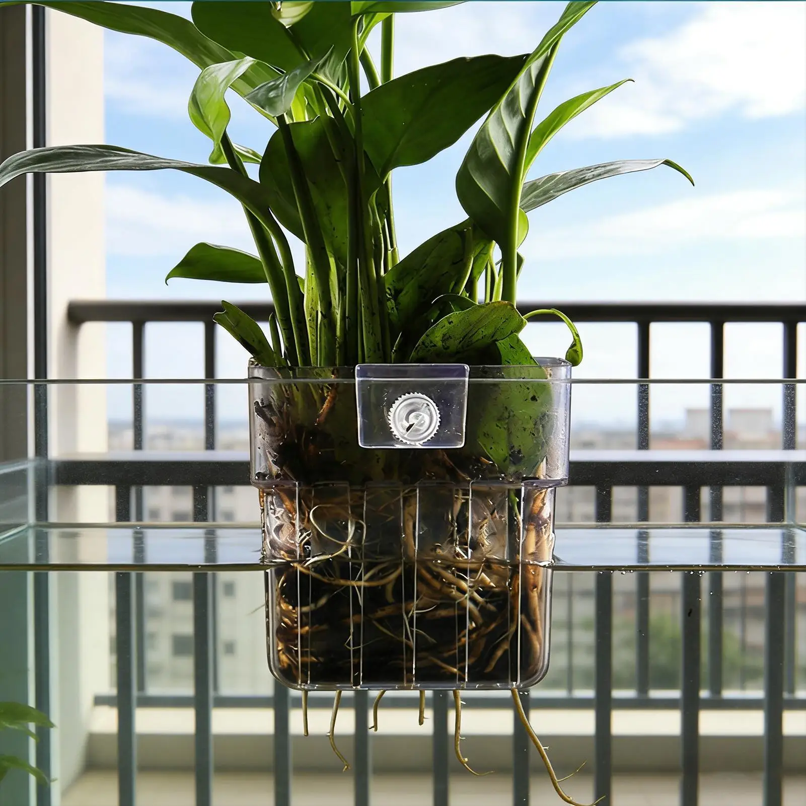 Suporte para Plantas de Aquário Transparente PP com Grade Respirável - Imagem 5