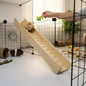plataforma de madeira para hamster