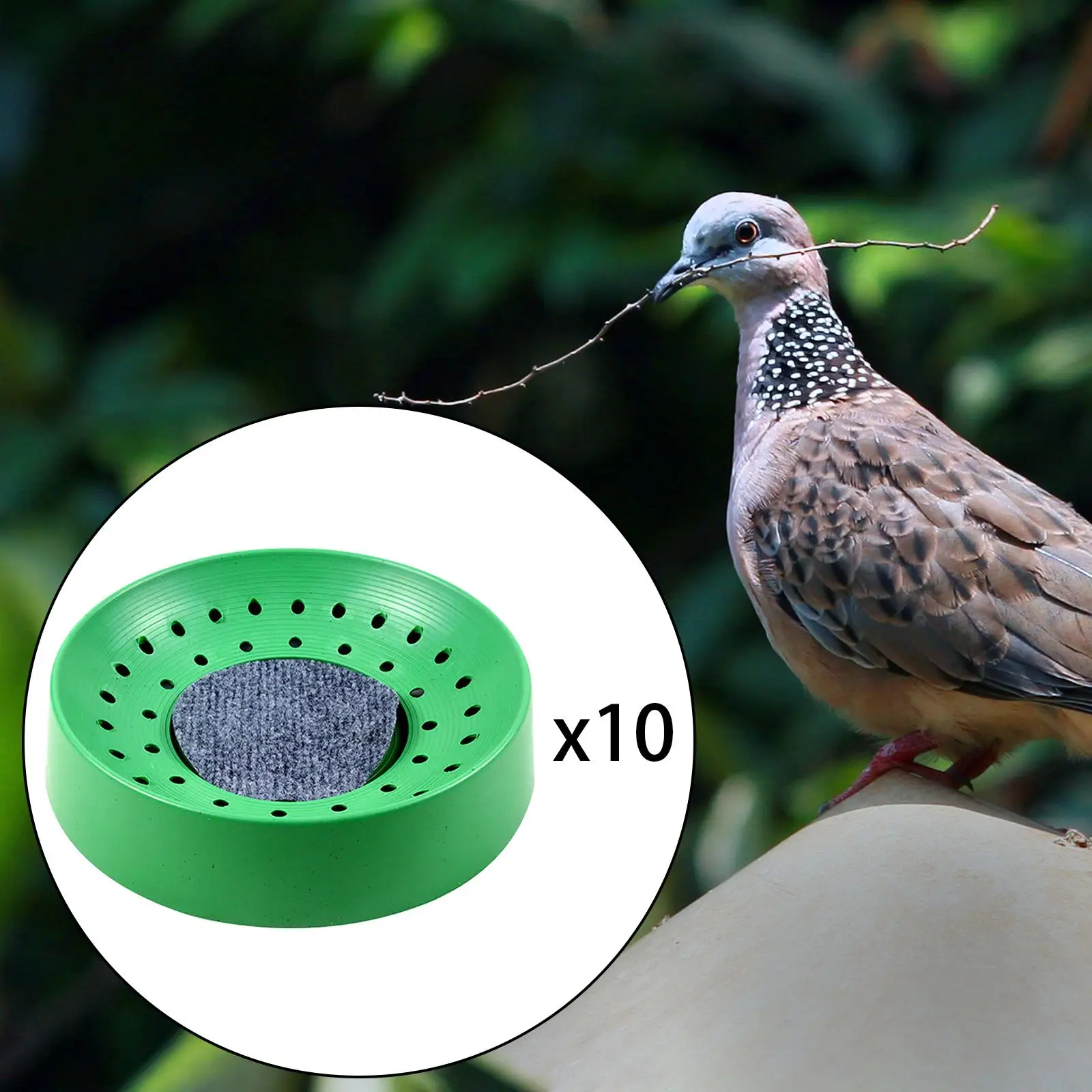 Ninho para Pombos de Plástico com Tapete 20,5 cm Lavável - Imagem 2