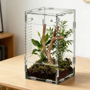 caixa de acrílico para aranha saltadora
