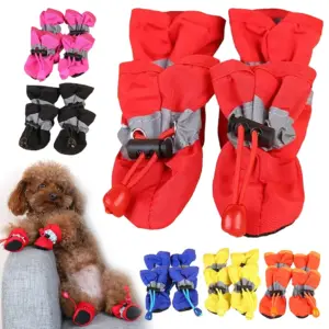 sapatos antiderrapantes para cães