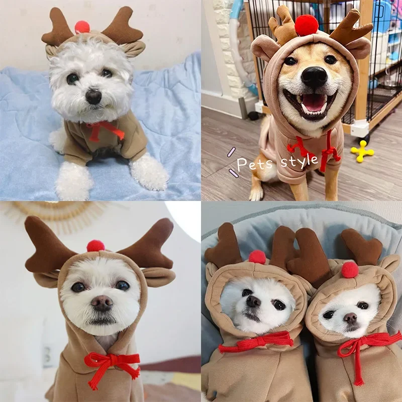 Moletom para Cães de Poliéster com Capuz para Inverno - Imagem 6