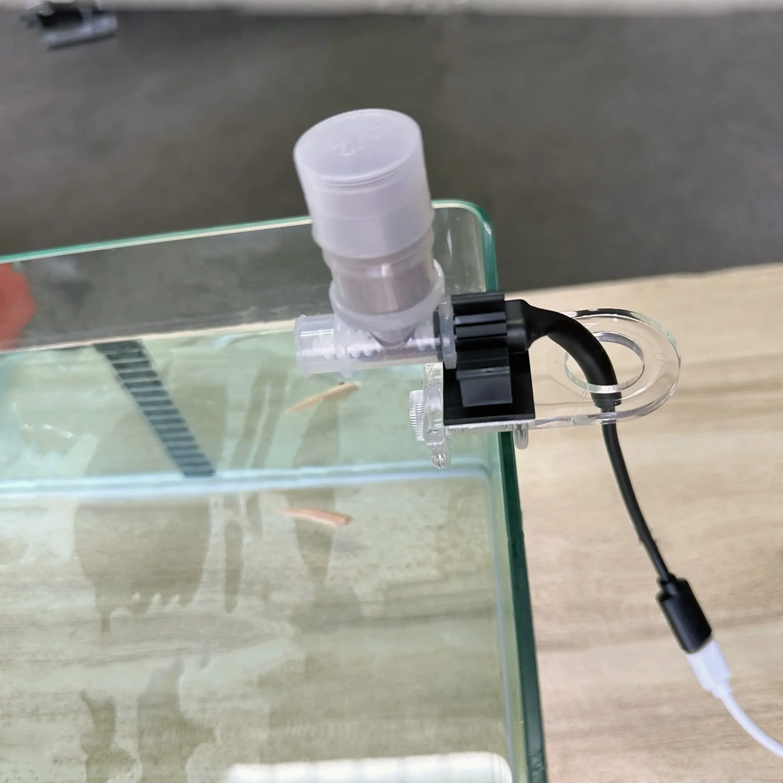 Alimentador Automático para Peixes Wi-Fi com Controle Remoto Tuya - Imagem 4