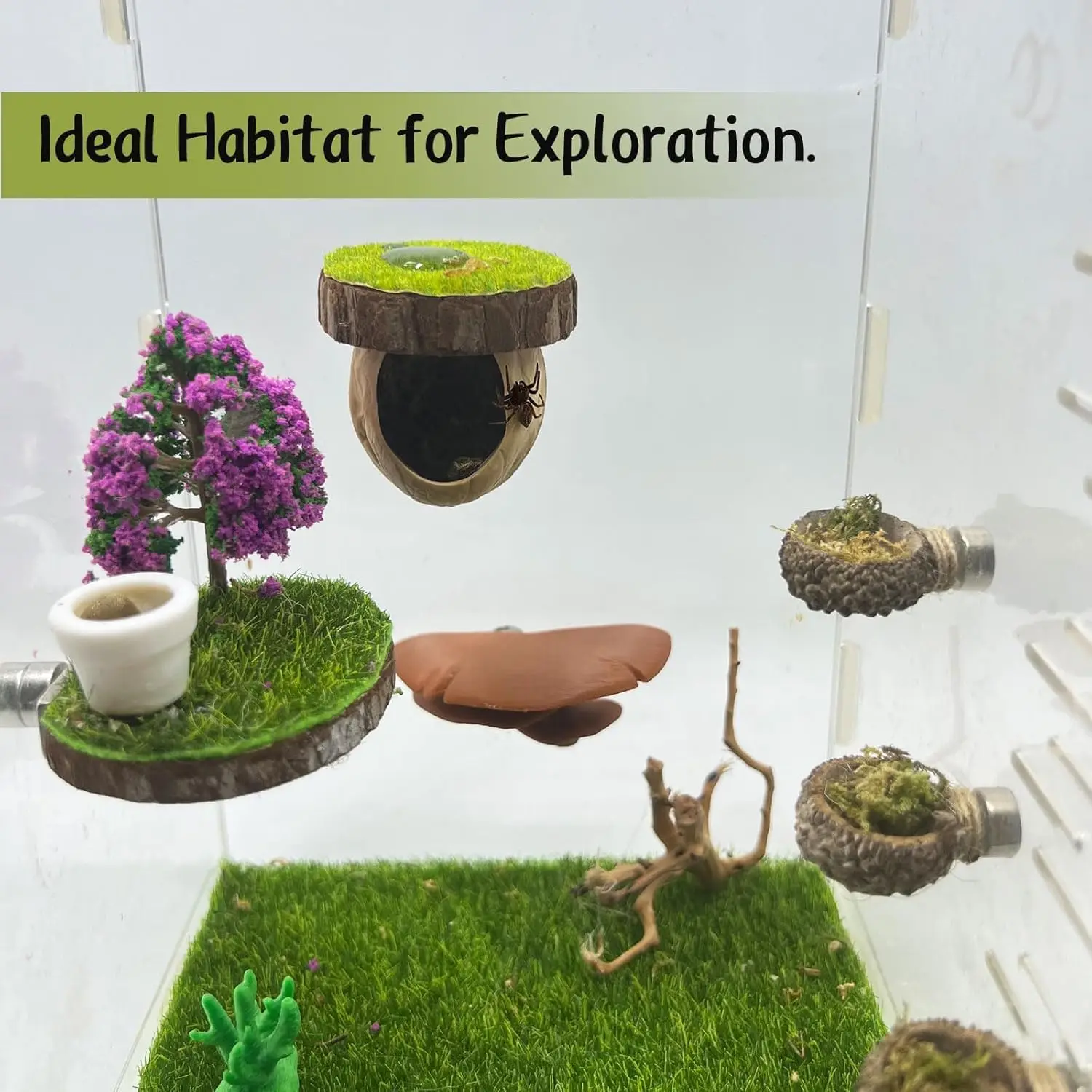 Kit de Decoração para Habitat de Aranha com Esconderijo - Imagem 5
