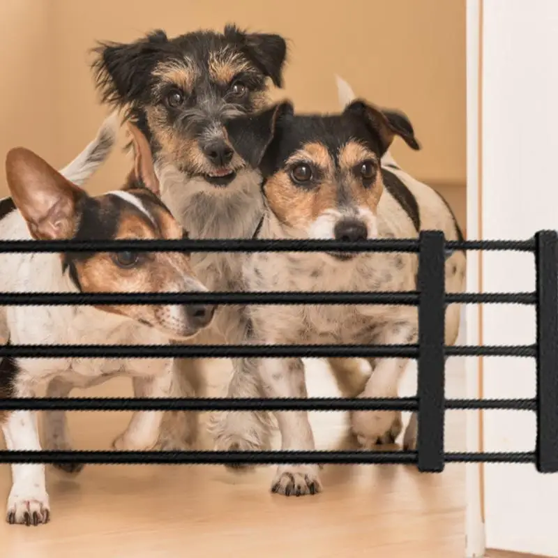 Portão Retrátil para Cães de Aço Titânio com Ajuste de Largura - Imagem 4