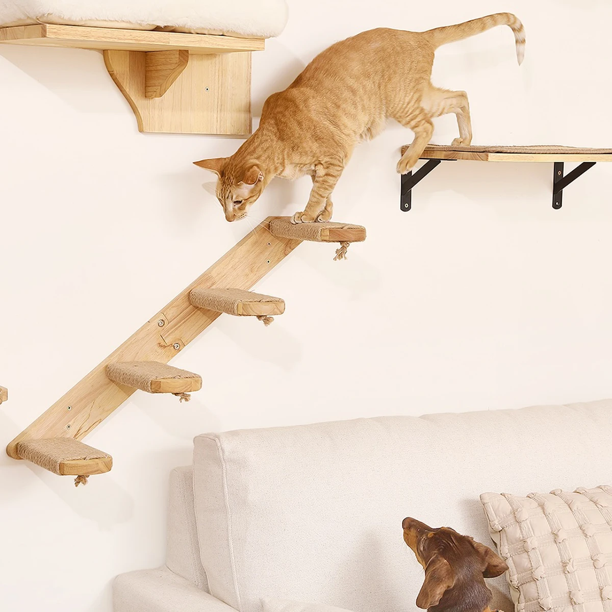 Rede de Escalada para Gatos de Madeira Maciça com Fixação na Parede - Imagem 4