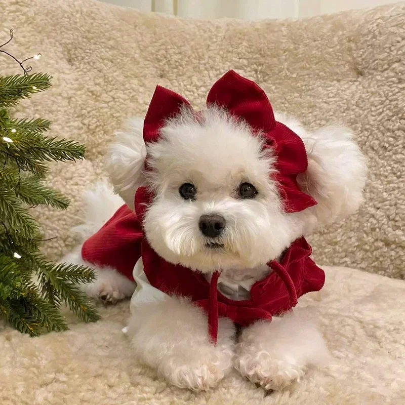 Vestido para Cães de Veludo Cotelê Vermelho para Outono Inverno - Imagem 4