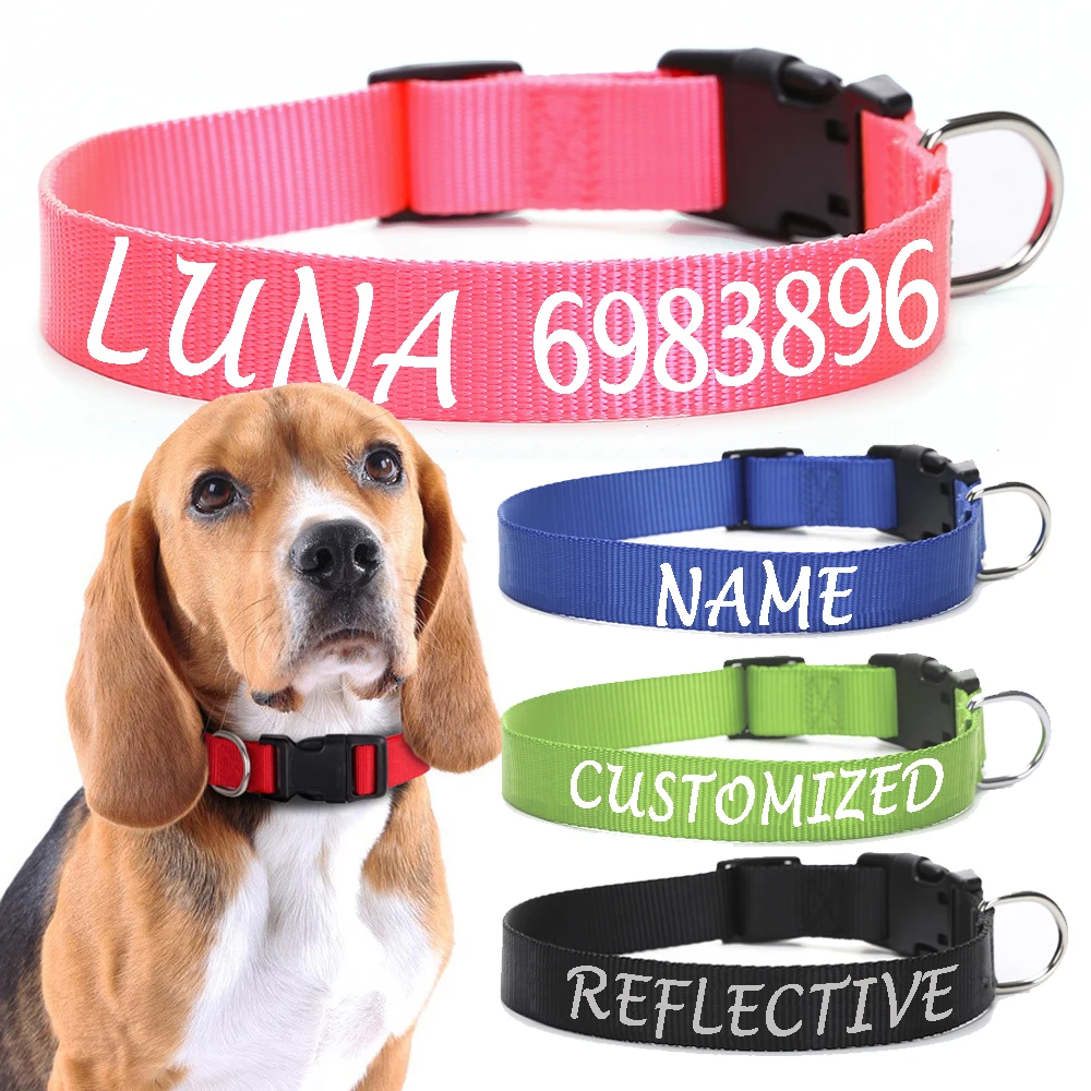coleira personalizada para cães de nylon