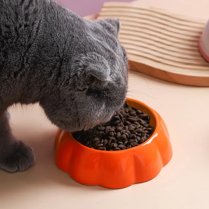 Kit 4 Tigelas de Cerâmica para Cães Pequenos e Gatos Coloridas - Imagem 4