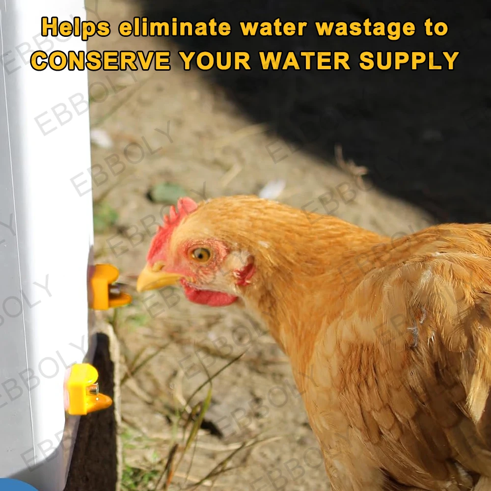 Bebedouro Niple para Aves com Design Anti Vazamento e Fácil Instalação - Imagem 3