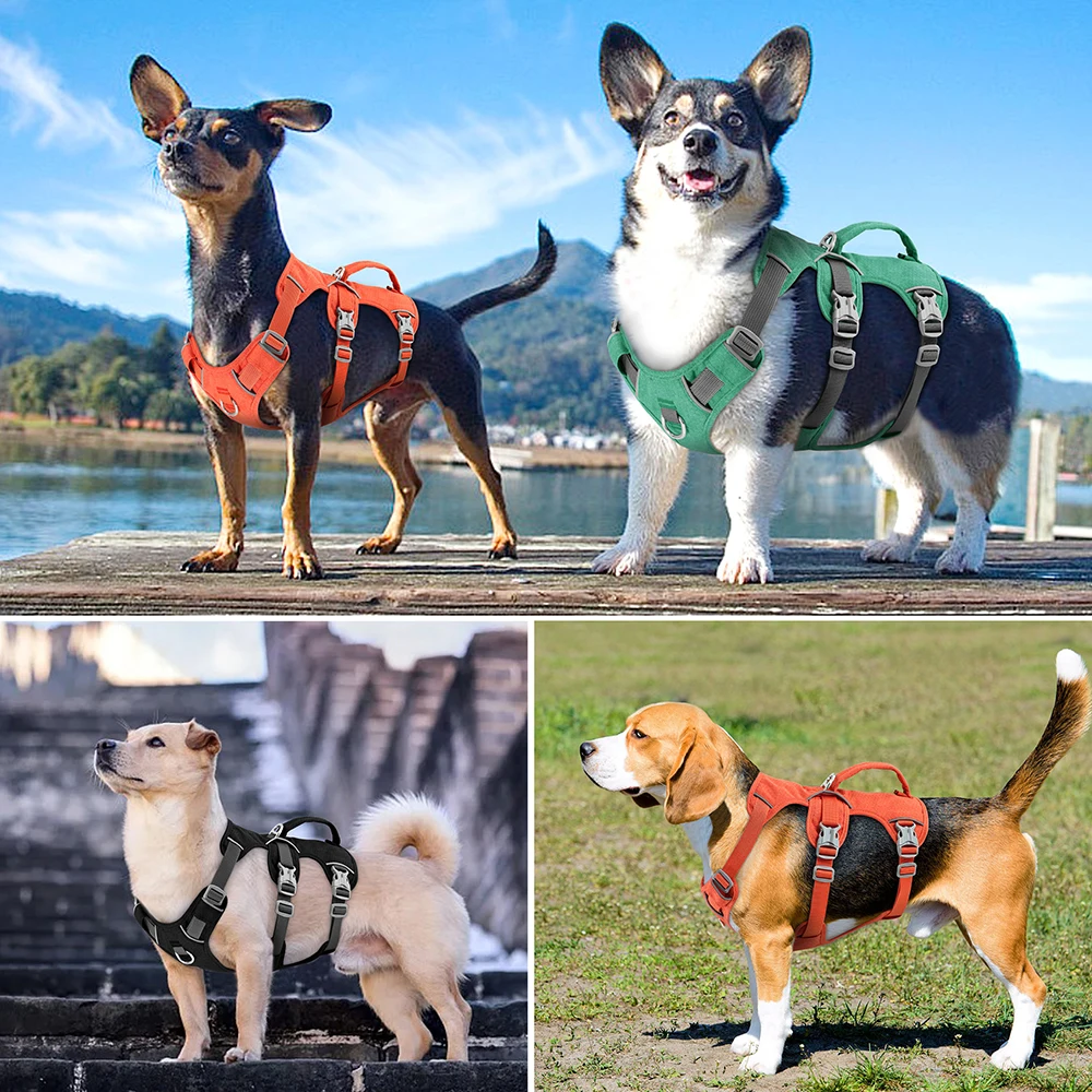Colete para Cães de Nylon Ajustável com Alça e Detalhes Refletivos - Imagem 5