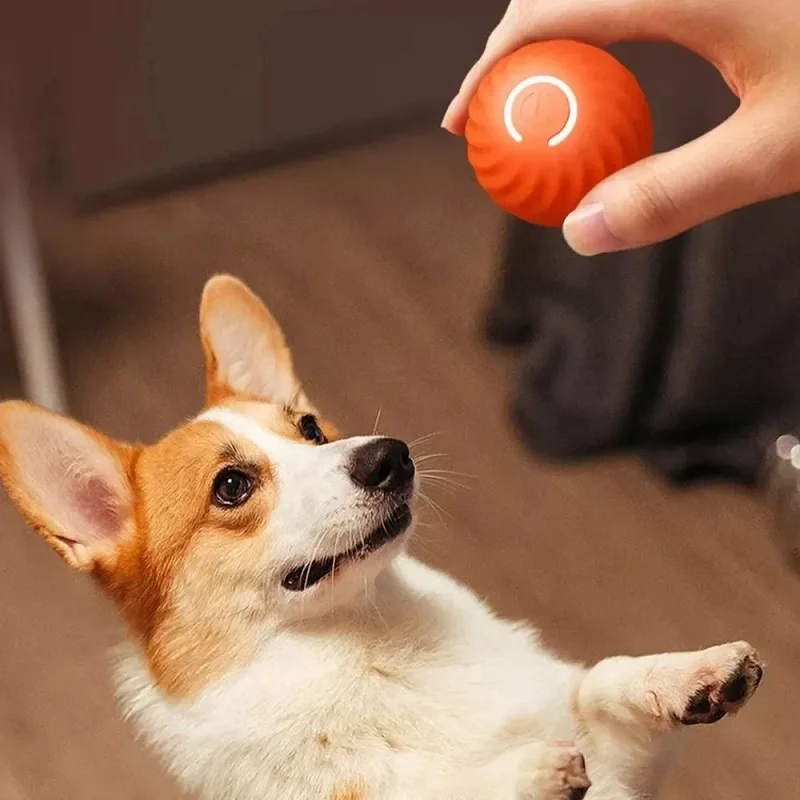 Bola Interativa para Cães Recarregável USB com Movimento Automático - Imagem 5
