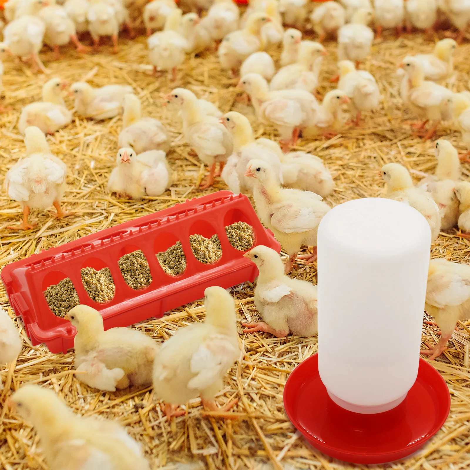 Bebedouro para Aves com Plástico Durável e Design à Prova de Vazamentos - Imagem 6