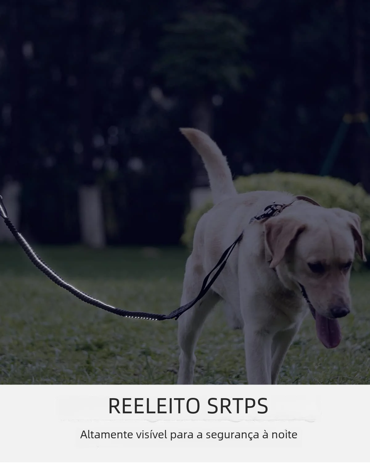 Trela para Cães Médios e Grandes com Bungee Elástico e Clipe de Segurança - Imagem 4