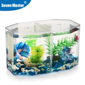 aquário acrílico para peixes betta