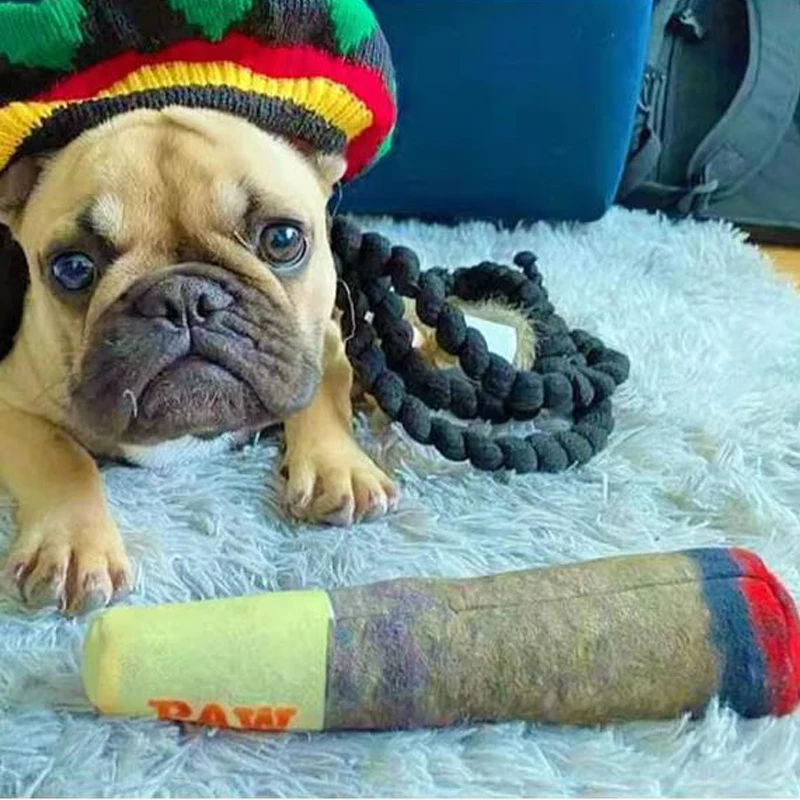 Brinquedo de Pelúcia para Cães com Som para Pequenos e Médios - Imagem 4