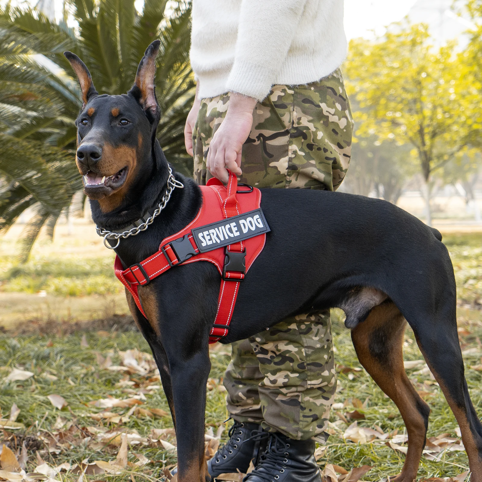 Colete para Cães com Alça Ajustável para Passeio ao Ar Livre - Imagem 6