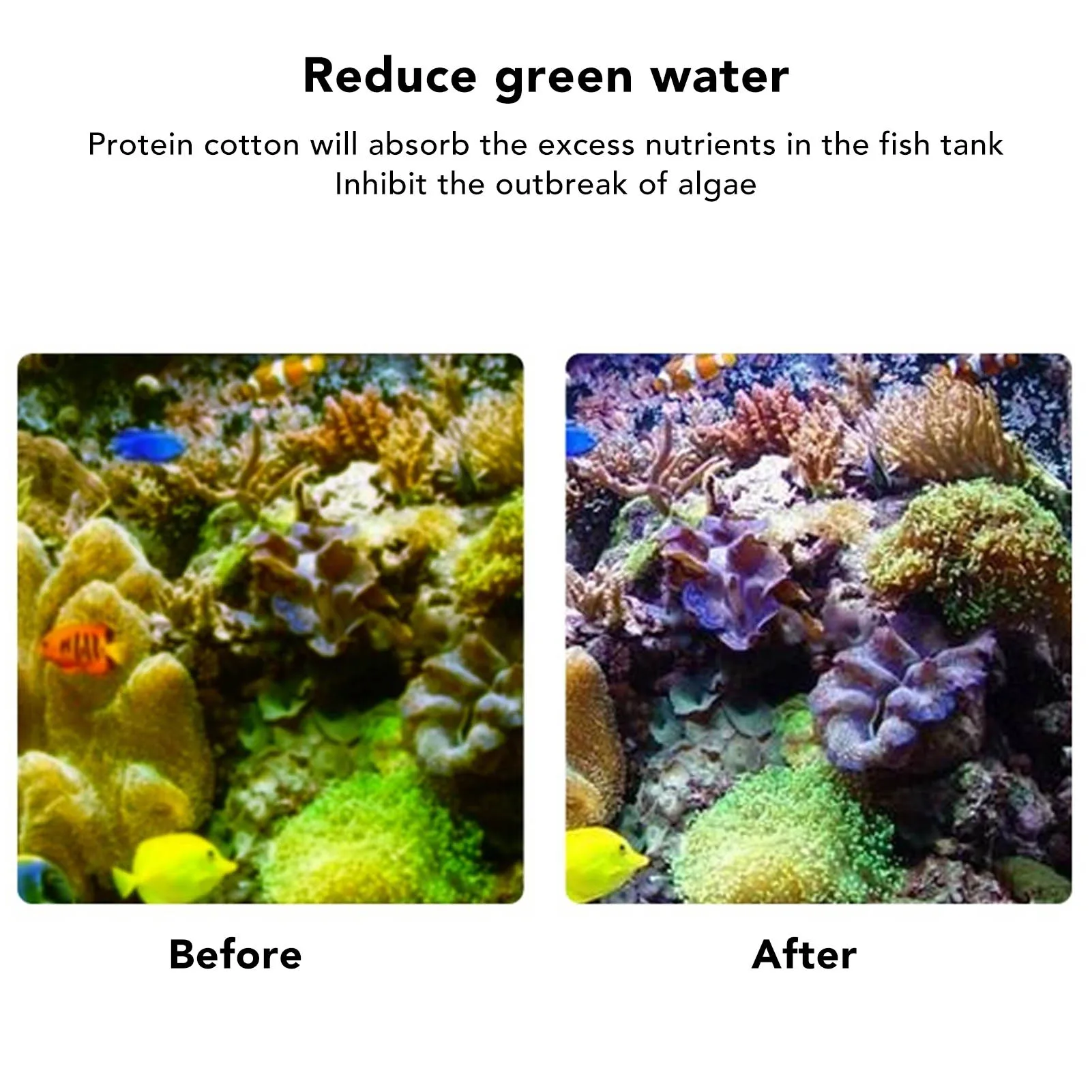 Filtro de Resina para Aquário 500 ml: Purifica a Água - Imagem 3