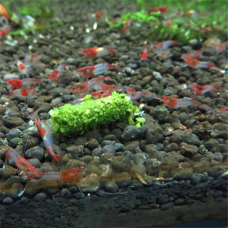 Alimento para Camarão Vermelho Cristal com Espinafre 35g - Imagem 3