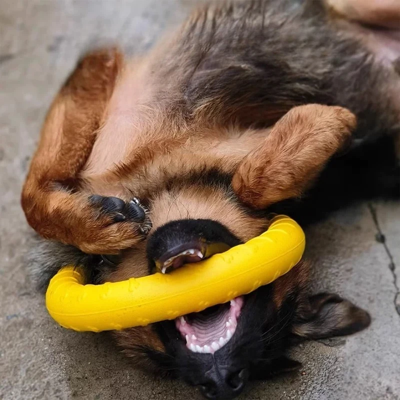 Brinquedo de Argola para Cães para Lançar e Capturar - Imagem 4