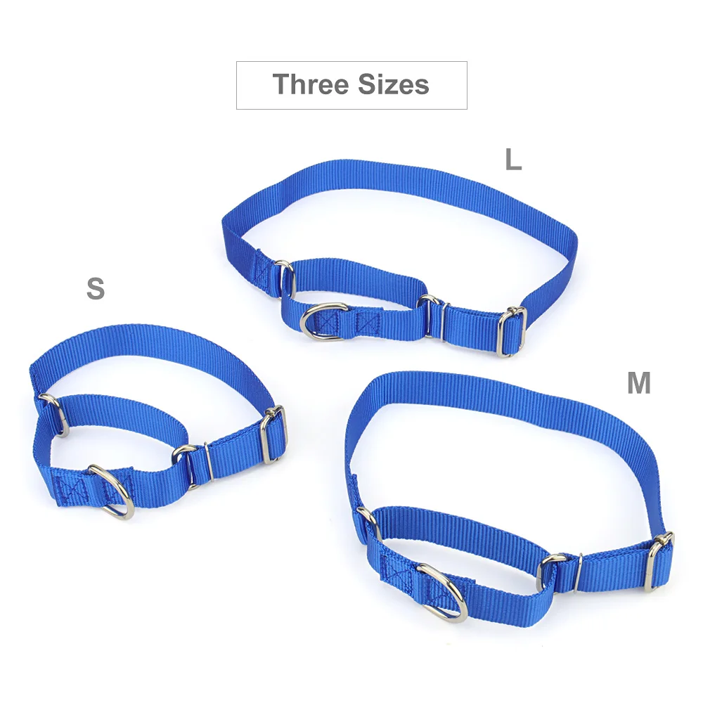 Coleira Martingale para Cães de Nylon Ajustável com Fivela de Metal - Imagem 3