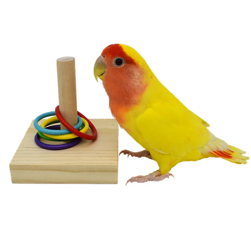 Brinquedo Educativo para Pássaros, Blocos e Anéis de Plástico Coloridos - Imagem 5