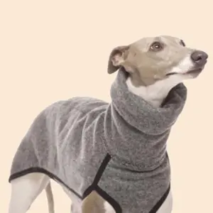 roupa de galgo gola alta stretch
