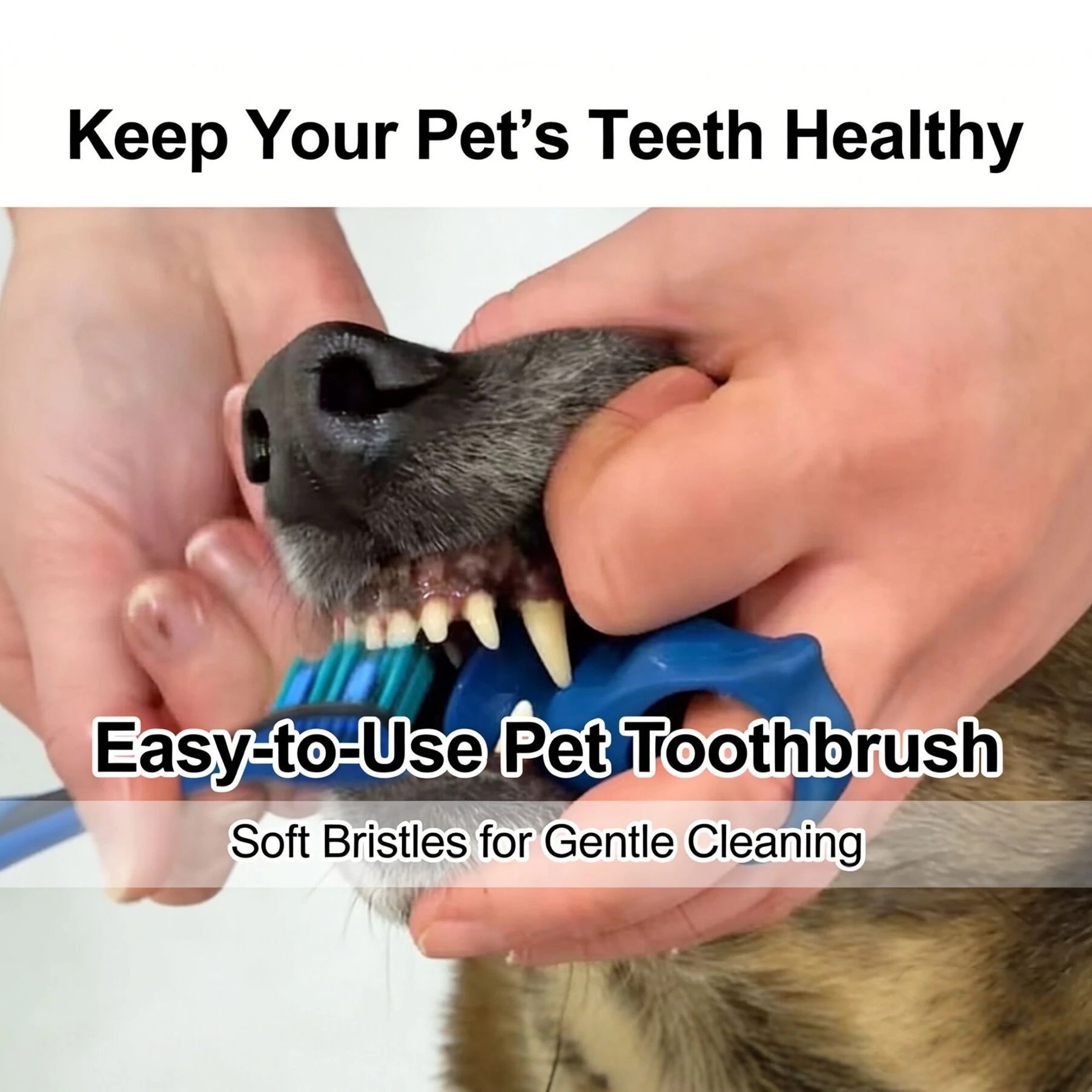 Escova de Dentes de Silicone para Cães e Gatos, Escova de Dedo Macia - Imagem 4