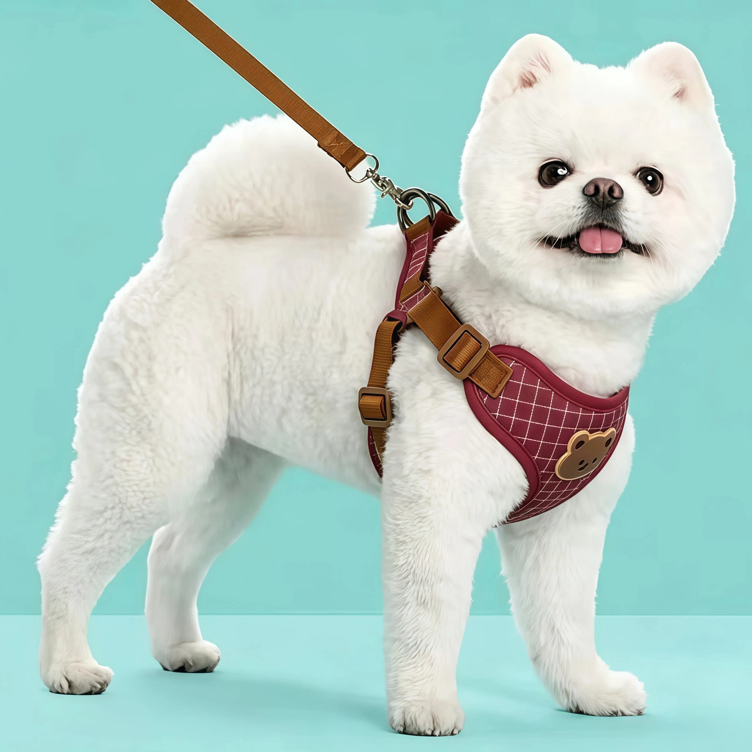 Conjunto Peitoral e Guia para Cães e Gatos Pequenos e Médios Ajustável - Imagem 6