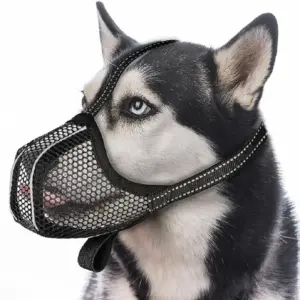 focinheira de malha respirável para cães