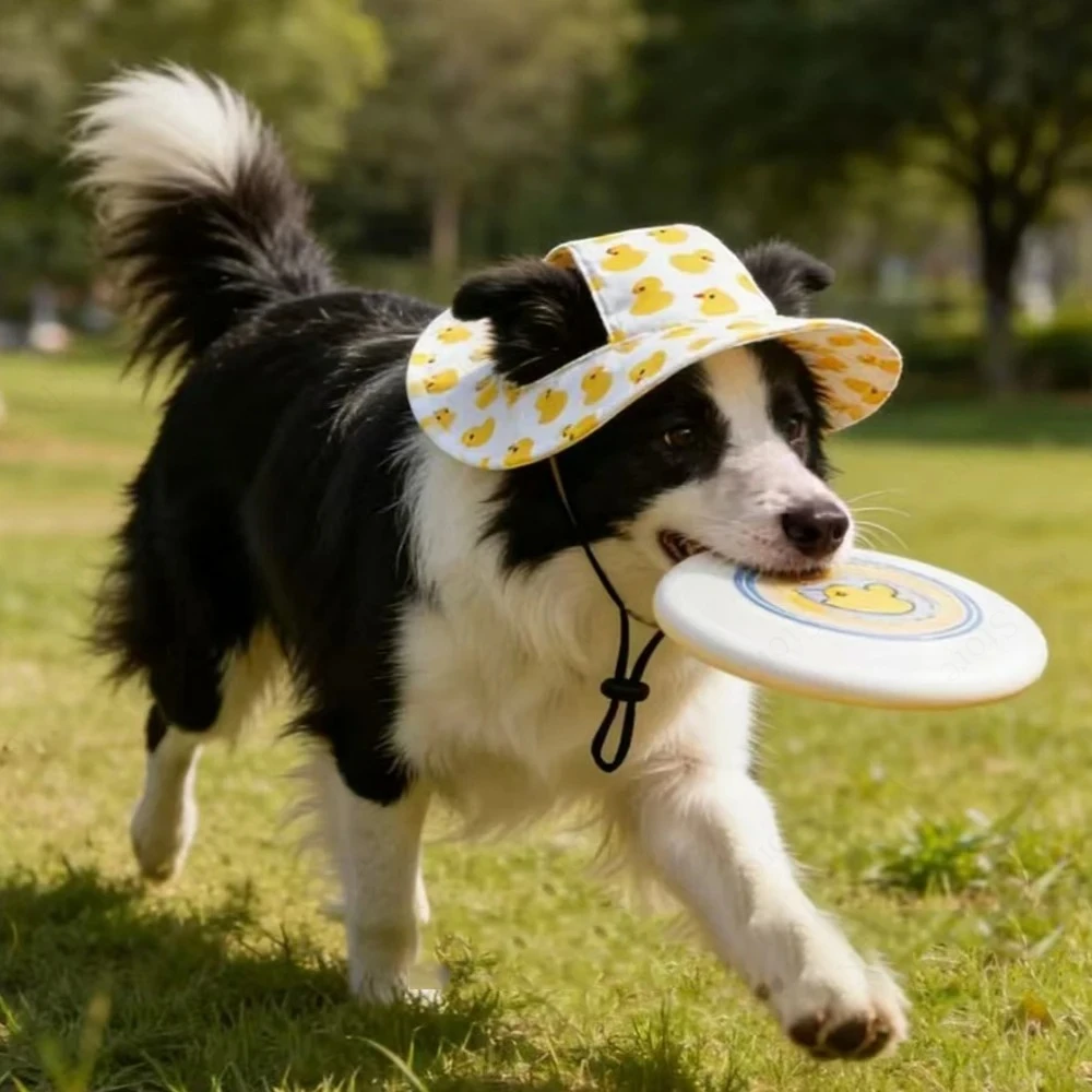 Boné para Cães com Ajuste Regulável e Estampa Fofa para Passeio - Imagem 6