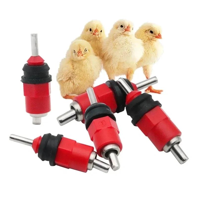 bebedouro de bico para frangos