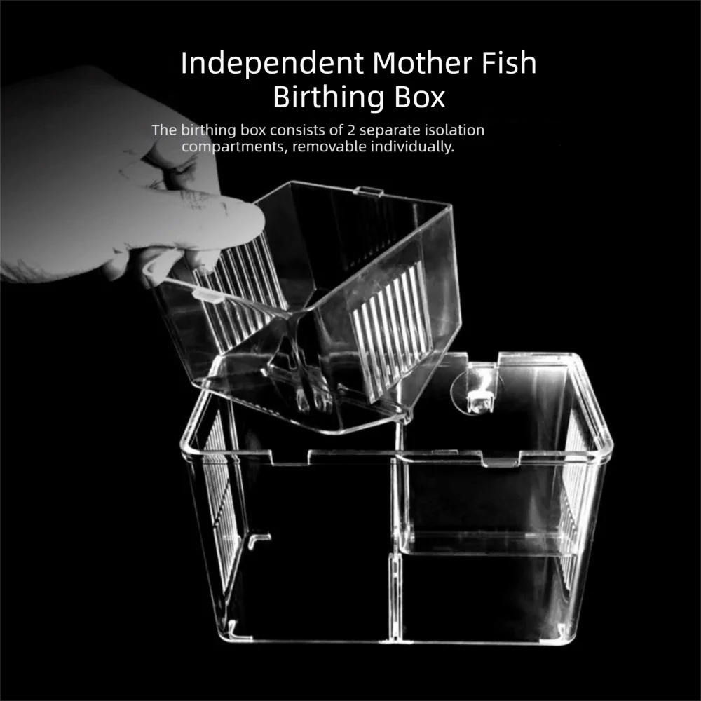 Caixa de Criação para Peixes em Acrílico Transparente 17,5 cm - Imagem 2