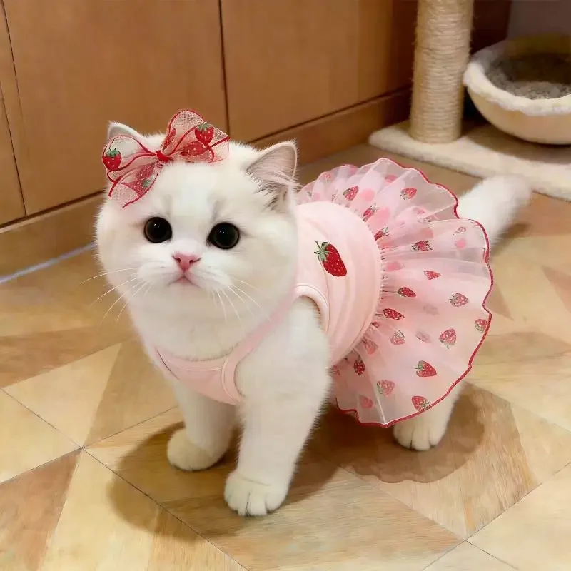 vestido para cães e gatos estampa morango