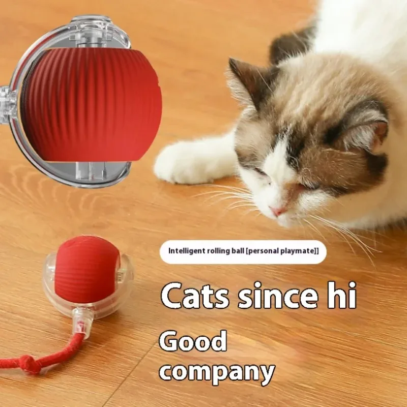 Brinquedo Interativo para Gatos Bola Rolante Recarregável USB - Imagem 4