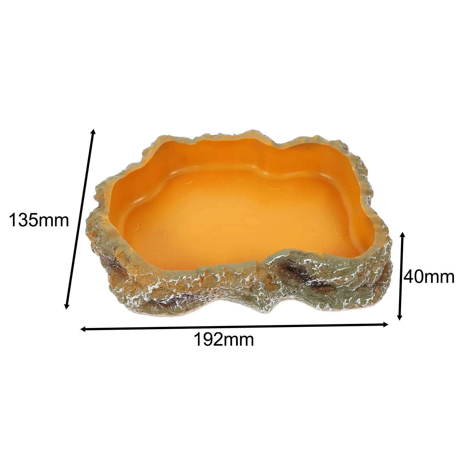 Tigela para Répteis de Resina para Terrário 17.5x23.5x5 cm - Imagem 6